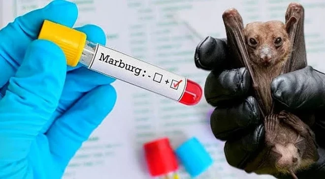 Marburg Virus Outbreak